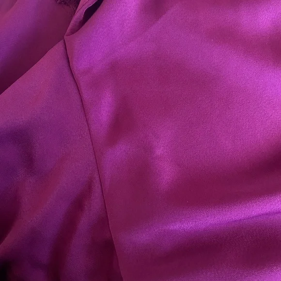 Dynamite Romy Open-Back Silky Blouse - Picture 13 of 15